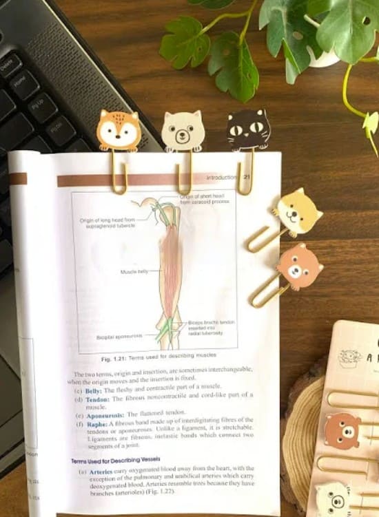 Cute Kawaii Bookmark Clips