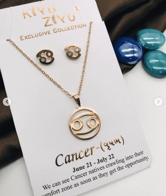 Stainless Steel Zodiac Necklace with Earrings
