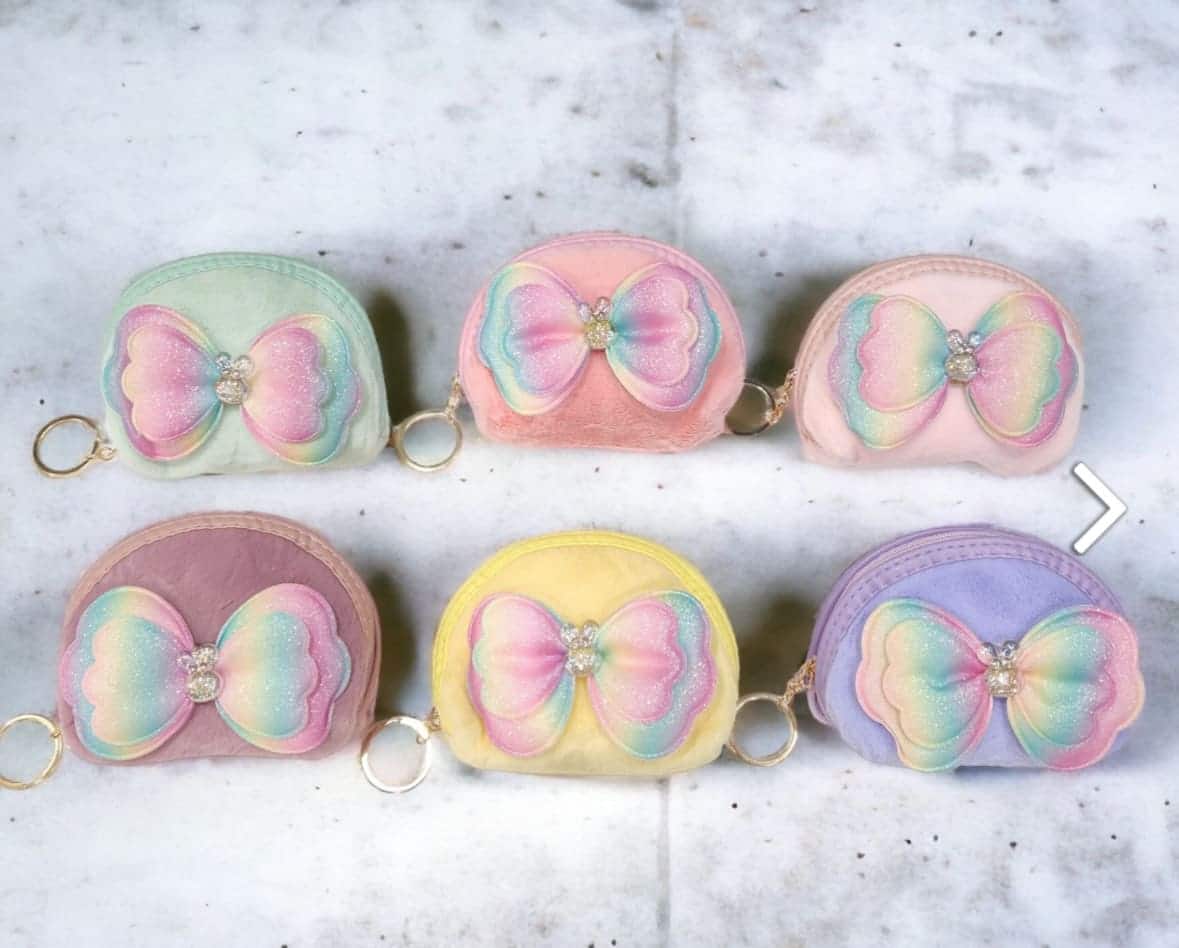Pretty Rainbow Coin Pouch