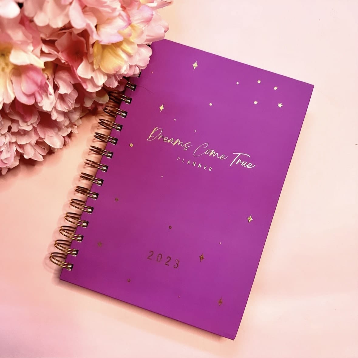 Annual Planner 2023 -Dreams Come True