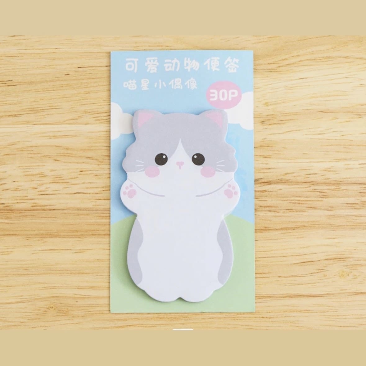 Kawaii Sticky Notes