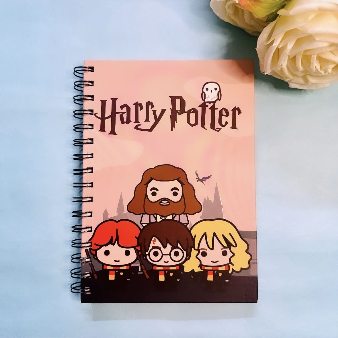 Harry Potter Box