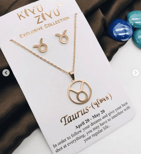 Stainless Steel Zodiac Necklace with Earrings