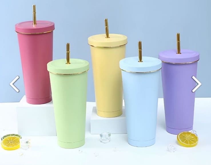 Colourful Stainless Steel Sipper