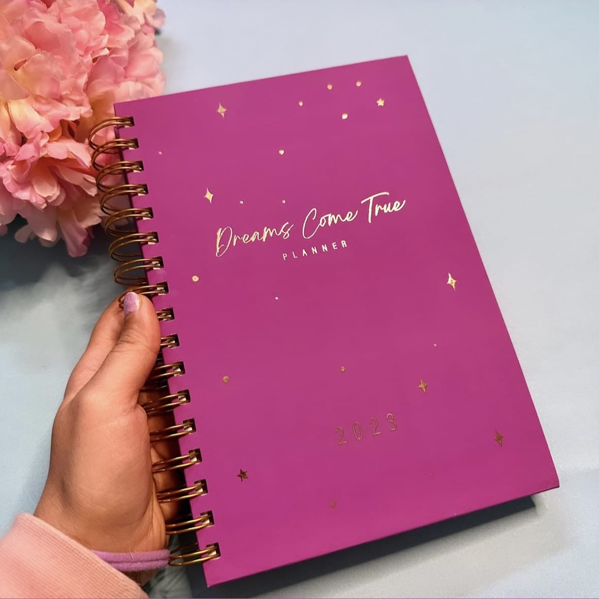 Annual Planner 2023 -Dreams Come True