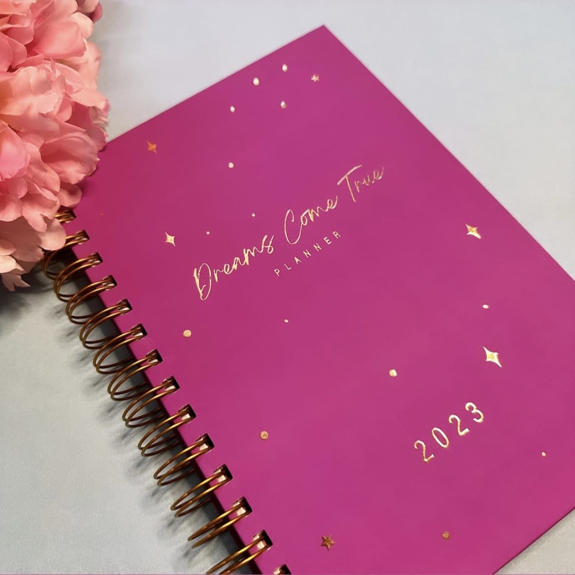 Annual Planner 2023 -Dreams Come True