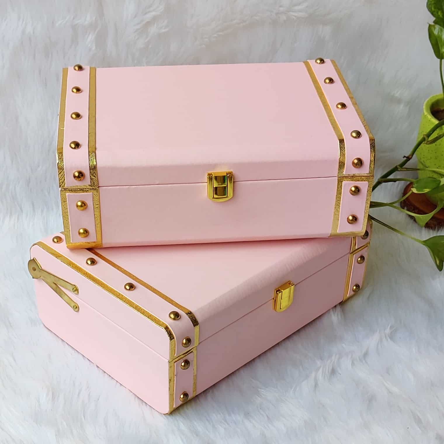 Baby Pink Leather Trunk