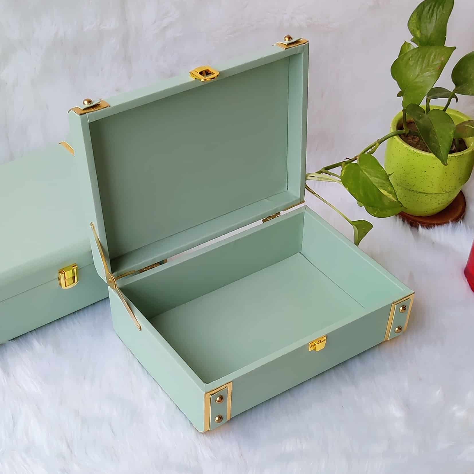 Pastel Green LEATHER TRUNK